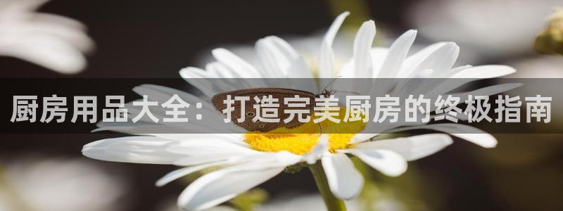 鸿运国际网址平台